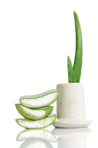 Aloe vera orgánico aislado en blanco —  Fotos de Stock