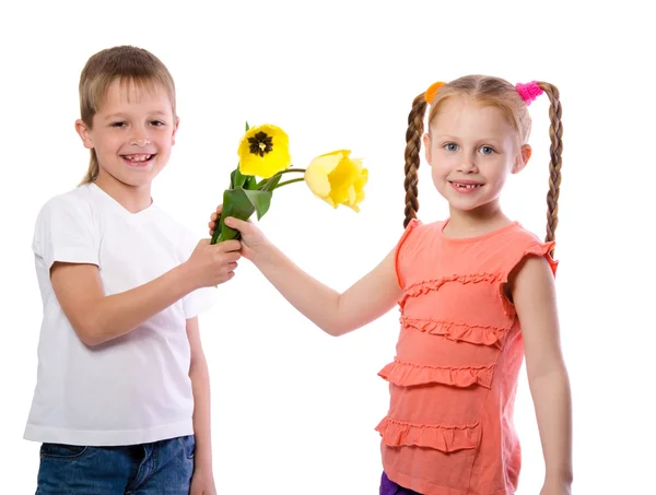 Un niño da a una chica tulipanes amarillos sobre fondo blanco — Foto de Stock