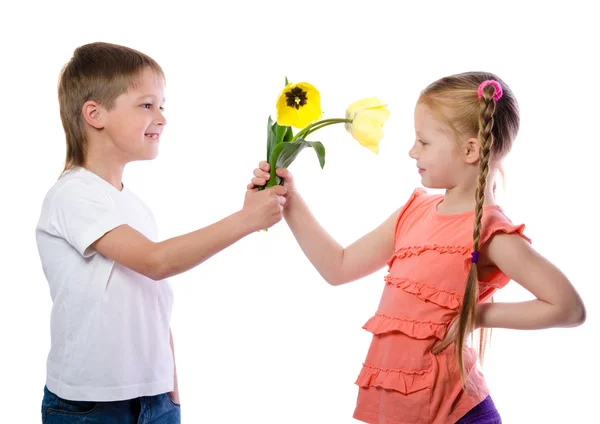 Un niño da a una chica tulipanes amarillos sobre fondo blanco — Foto de Stock