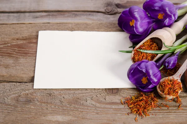 Flores de crocus com cartão vazio para o seu texto com soffron no woo — Fotografia de Stock