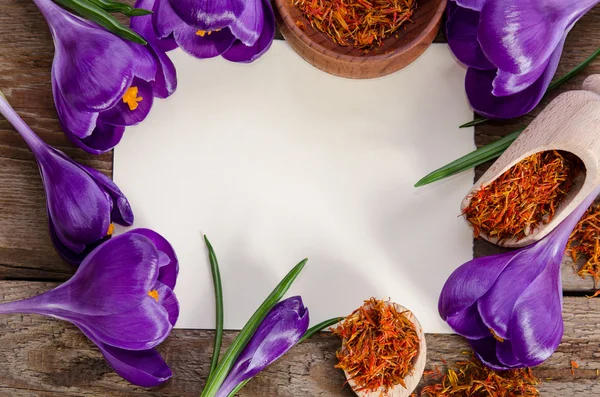 Flores de crocus com cartão vazio para o seu texto com soffron no woo — Fotografia de Stock