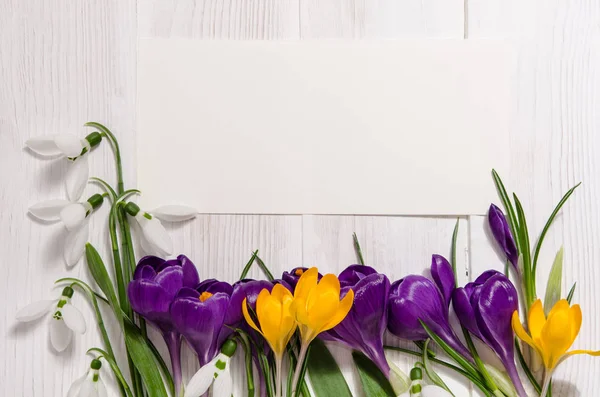 Coner from crocus and snowdrops on wooden background with empty — Stock Photo, Image