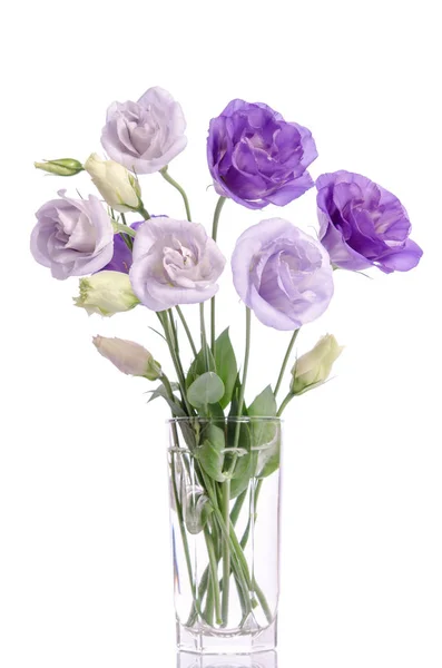Bunch of violet and white eustoma flowers in glass vase — Stock Photo, Image