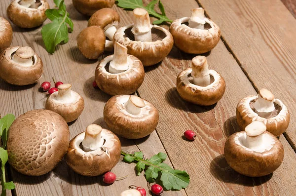 Свежие грибы с листьями рукколы — стоковое фото