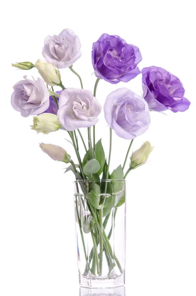 Bunch of violet and white eustoma flowers in glass vase — Stock Photo, Image