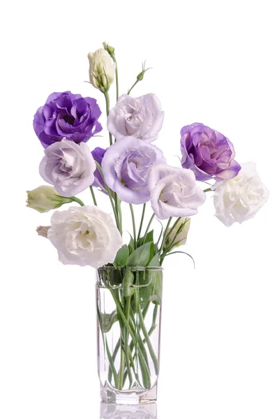 Kilka eustoma białe i fioletowe kwiaty w wazon ze szkła — Zdjęcie stockowe