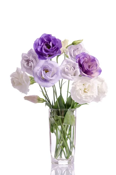 Grupo de flores eustoma branco e violeta em vaso de vidro — Fotografia de Stock