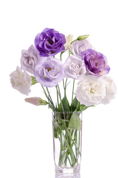  white and violet eustoma flowers in glass vase