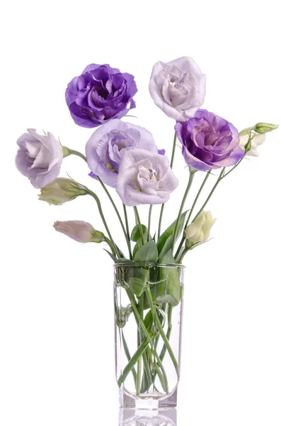 Букет белых и фиолетовых цветов эустомы в стеклянной вазе — стоковое фото