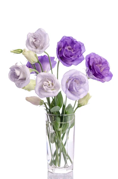 Cacho de flores de eustoma violeta e branco em vaso de vidro — Fotografia de Stock