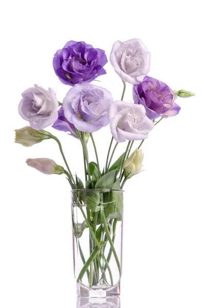 Grupo de flores eustoma branco e violeta em vaso de vidro — Fotografia de Stock