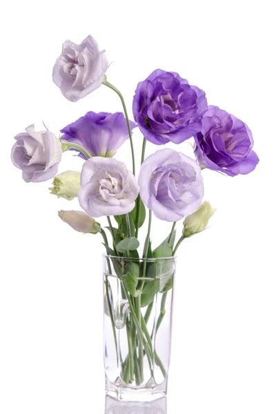 Bunch of violet and white eustoma flowers in glass vase isolated — Stock Photo, Image