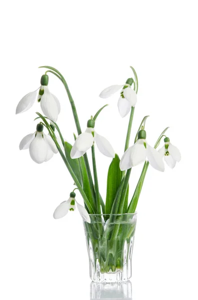 Boeket van snowdrop bloemen in glazen vaas — Stockfoto