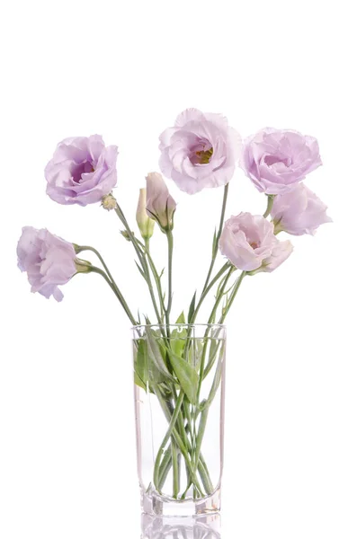 Monte de flores eustoma violeta pálido em vaso de vidro — Fotografia de Stock