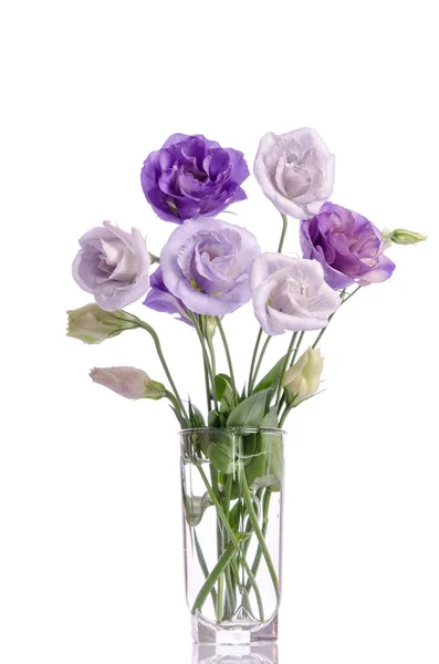 Grupo de flores eustoma branco e violeta em vaso de vidro — Fotografia de Stock
