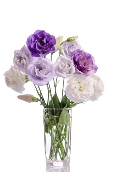 Grupo de flores eustoma branco e violeta em vaso de vidro — Fotografia de Stock