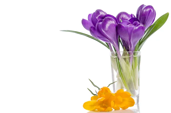 Buquê de flores de croco em vaso isolado em branco — Fotografia de Stock