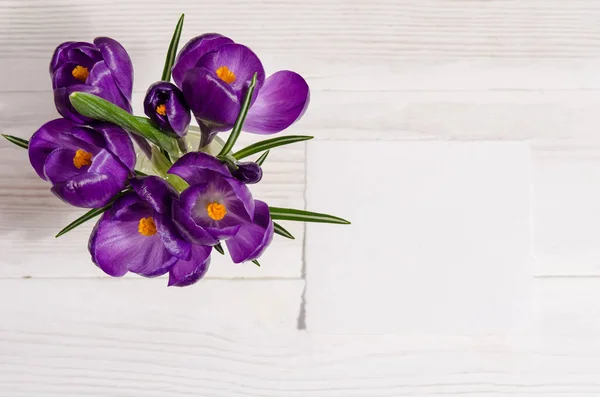 Buquê de flores de croco em vaso com cartão vazio para o seu te — Fotografia de Stock