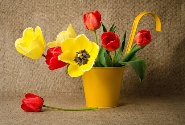 Colorful tulips in yellow pot on burlap — Stock Photo, Image
