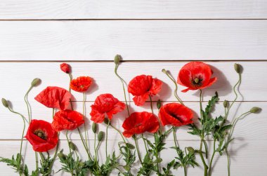 Eski Beyaz ahşap masa üzerinde güzel kırmızı haşhaş