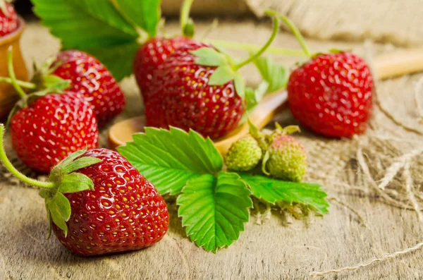 麻布背景上孤立的美味草莓成熟 — 图库照片