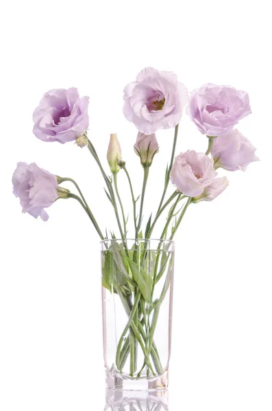 Cacho de flores eustoma violeta pálido em vaso de vidro isolado em w — Fotografia de Stock