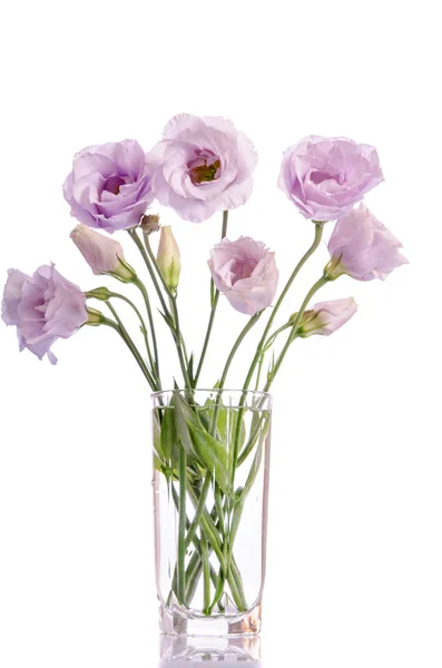 Mazzo di fiori di eustoma viola pallido in vaso di vetro isolato su w — Foto Stock