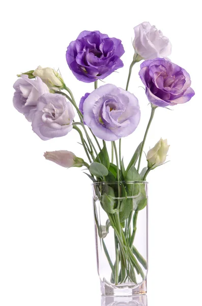 Mazzo di fiori di eustoma viola, bianco e viola in vaso di vetro — Foto Stock