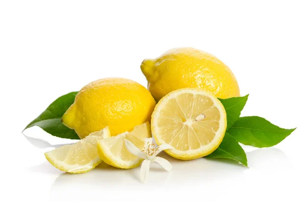 Lemons tree flower and a lemons isolated on white background — Stock Photo, Image