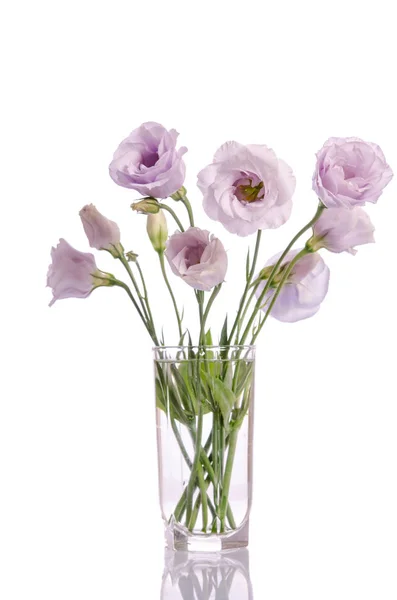 Světle fialové eustoma kytice do vázy izolované na w — Stock fotografie