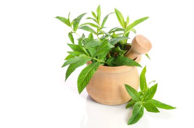 Beyaz arka plan üzerinde ahşap harç içinde taze yeşil nane