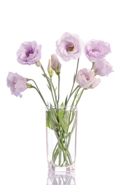 Mazzo di fiori di eustoma viola pallido in vaso di vetro isolato su w — Foto Stock