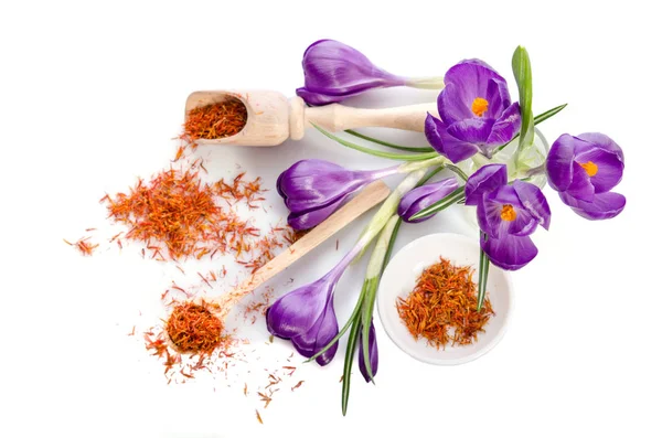 Crocus blomma med saffran isolerad på vit bakgrund — Stockfoto