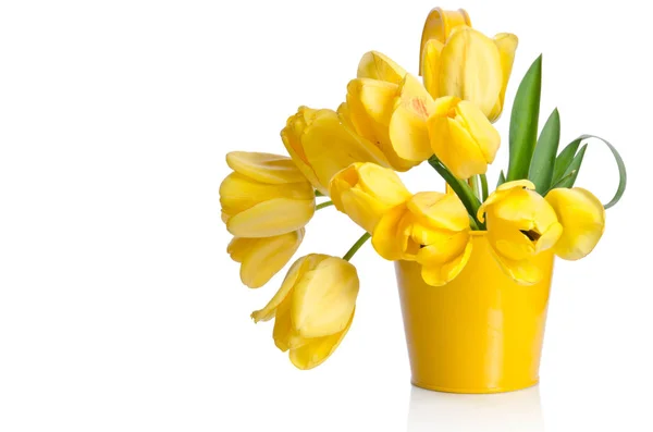 Schöner Strauß gelber Tulpen in einem Topf isoliert auf weiß — Stockfoto