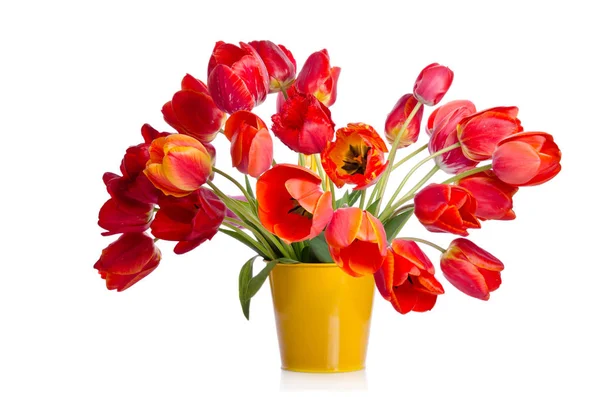 Beautiful bouquet of colorful tulips in yellow pot — Stock Photo, Image