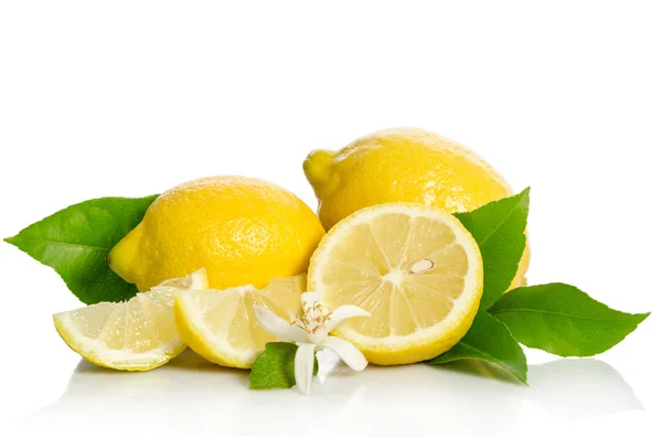 Lemons tree flower and a lemons isolated on white background — Stock Photo, Image