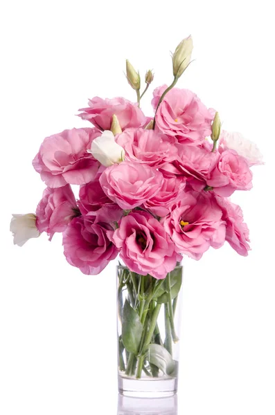 Bunch of white and pink eustoma flowers in glass vase isolated o — Stock Photo, Image