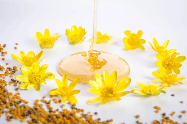 Polen y miel vertida con flores alrededor — Foto de Stock