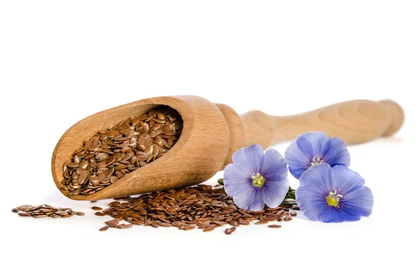 Насіння льону в дерев'яній ложечці та красиві квіти — стокове фото