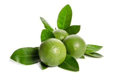 ile üç yeşil limes yaprakları üzerinde izole beyaz arka plan