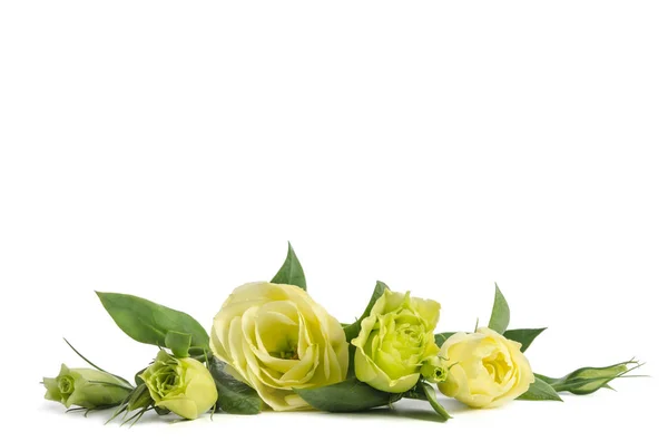 Buquê de rosas verdes deitado sobre fundo branco — Fotografia de Stock