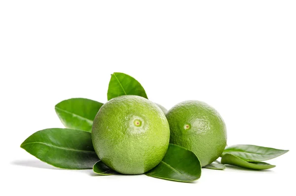 Two green limes with leaves isolated on white background Stock Photo