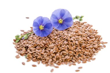 Beyaz arka plan üzerinde izole tohumları ile keten güzel çiçekler