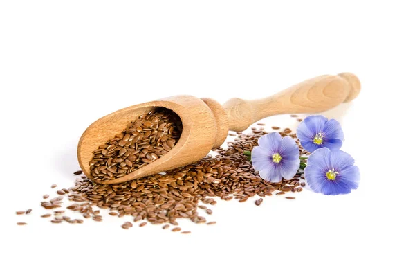 Nasiona lnu w drewniane scoop i piękno kwiatów — Zdjęcie stockowe