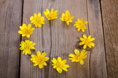 çerçeve ahşap zemin üzerine sarı çiçek