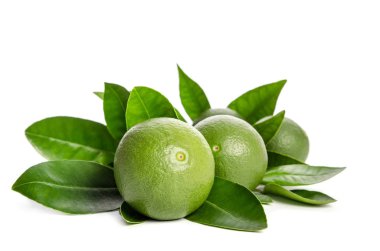 dört yeşil limes ile yaprakları üzerinde izole beyaz arka plan