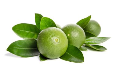 dört yeşil limes ile yaprakları üzerinde izole beyaz arka plan