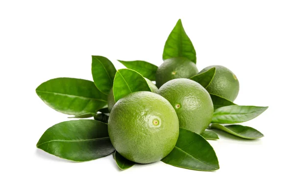 Öt zöld limes elhagyja a elszigetelt fehér háttér — Stock Fotó