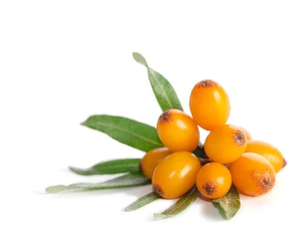 Sea buckthorn with green leaf isolated on white background — Stock Photo, Image