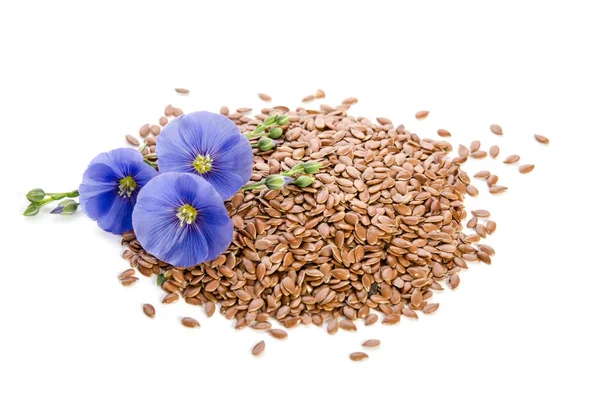 Beautiful flowers of flax with seeds isolated  on white background — Stock Photo, Image